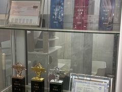 -青奢宠物·青奢猫舍