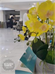 -雅仕 HAIR SALON 美发沙龙
