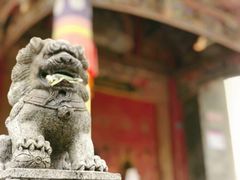 -塔尔寺-菩提树