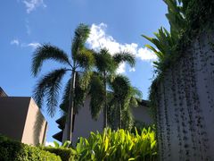-普吉岛凯悦酒店