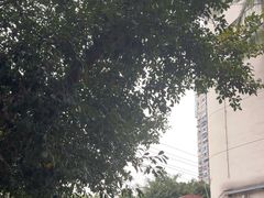 -二0二李记南瓜田鸡老字号(宜宾一店)