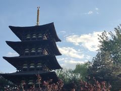 -北京世界公园