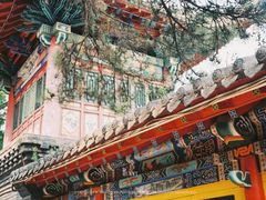 -北山公园