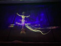 -贝壳梦幻世界