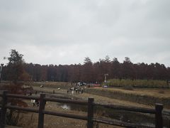 -四明湖