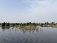 -白洋淀景区