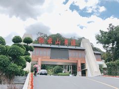 -冰泉豆浆馆(白云山总店)