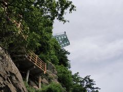 景点-陕西省红河谷森林公园