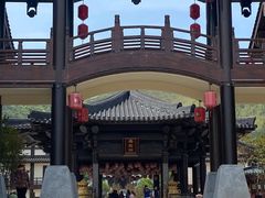 -大唐贡茶院