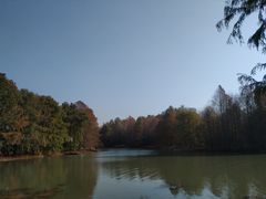 -上海海湾国家森林公园