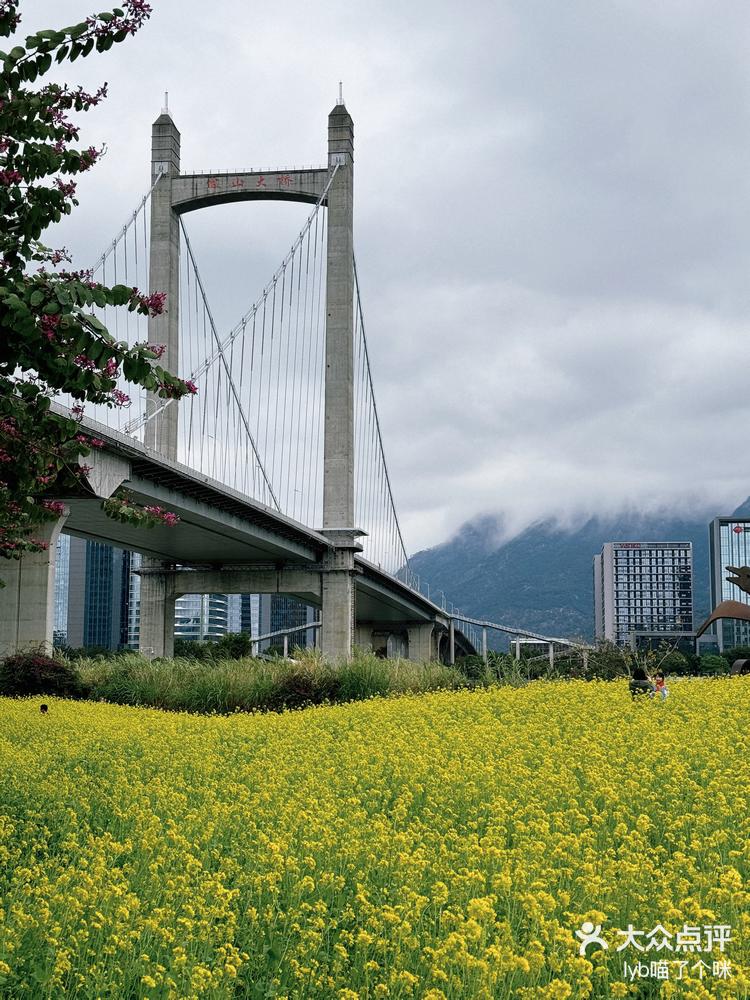 福州花海公园油菜花图片