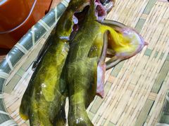 -铭记蛙小仙·活蛙畅享(CBD万达广场店)