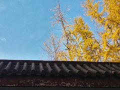 -四川大学(华西校区)