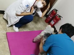 -美联众合动物医院·24h转诊中心