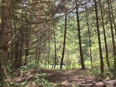 -九寨沟-树正沟