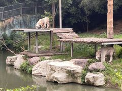 -宁波野生动物园