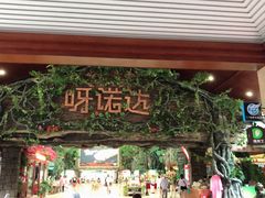 -呀诺达热带雨林