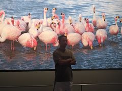 -罗红摄影艺术馆