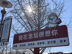 -大兴滨河森林公园