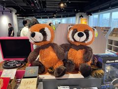 -浣熊唱片店(上海影城店)