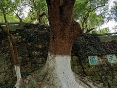 -吴山景区