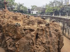 -昆明动物园
