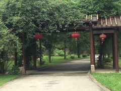 -鹅湖玫瑰文化园