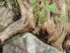 -孤山寨风景区