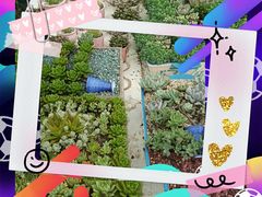 -三圣里·中餐宴请·自助烤肉·烤全羊·柴火鸡(旗舰店)