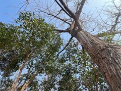 -汉长安城未央宫国家考古遗址公园