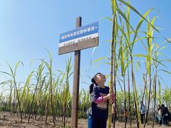 -汉长安城未央宫国家考古遗址公园