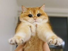 -百信宠物医院(东升街店)