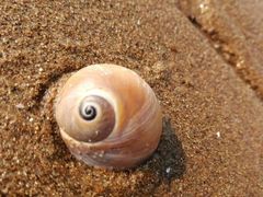 -渡海小渔村.老辈日照菜