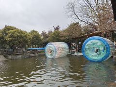 -八大山人梅湖景区