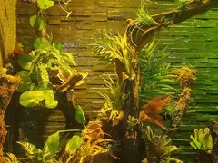 -泰适SPA馆丨精油·按摩·足道(后海地铁口店)