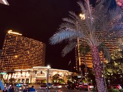 -拉斯维加斯永利酒店