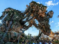 -奥兰多迪士尼动物王国乐园