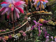 -正佳雨林生态植物园
