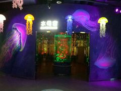 -石家庄海洋公园