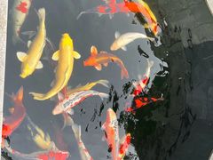 -西安市广仁寺