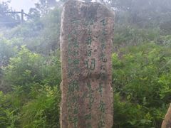 -王莽岭风景区