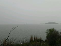 -上海市保健医疗中心(华东疗养院)