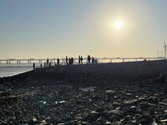 -南汇新城海滩