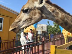 -西霞口神雕山野生动物世界