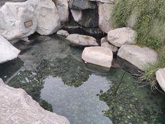 -小六汤包·老字号·中华名小吃(公园南路店)