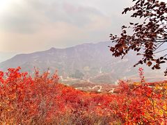 -周口店坡峰岭风景区