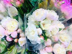 -循礼门鲜花花市(武汉循礼门店)