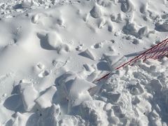 -济南卧虎山滑雪场
