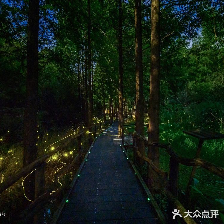 🌟莫干山zui梦幻的萤火虫基地,私藏的宝藏地