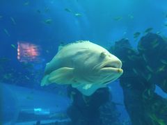 -成都浩海立方海洋公园